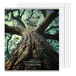 Тетрадь 48л кл. Картины природы, 48-4164