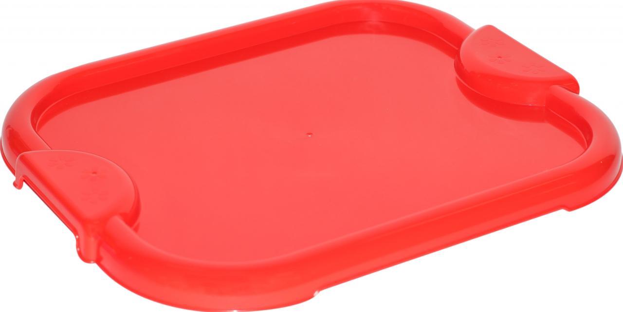 Поднос пласт. цветной, 405х335х27 мм