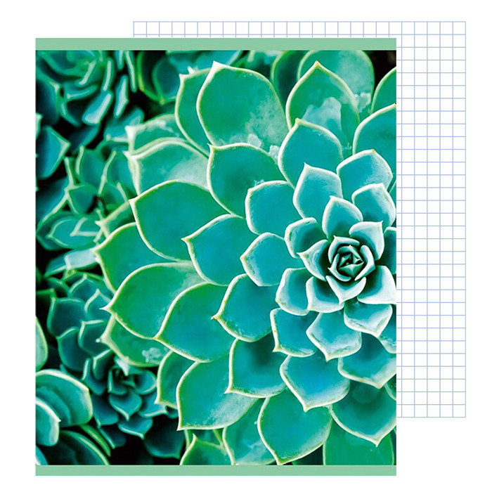 Тетрадь 96л кл. Занимательная природа ТЛ968707, РФ