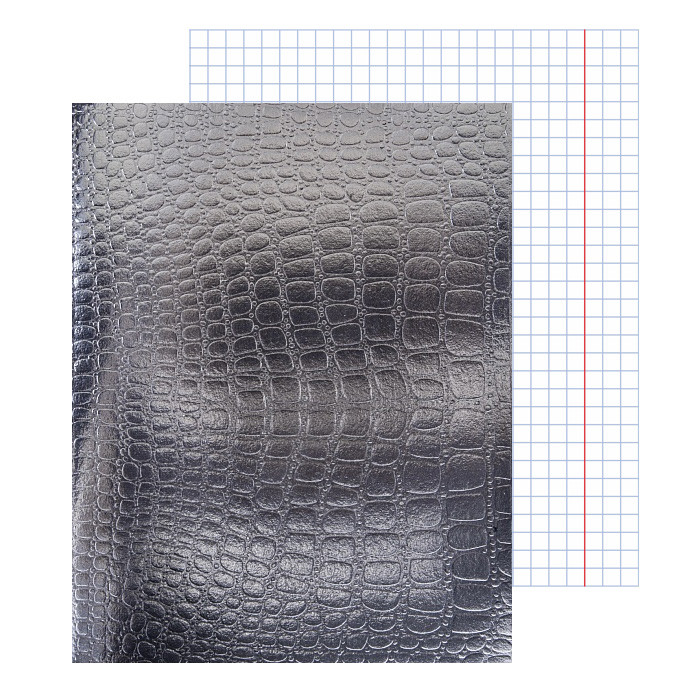 Тетрадь 48л кл. Metallic 48Т5бвВ1