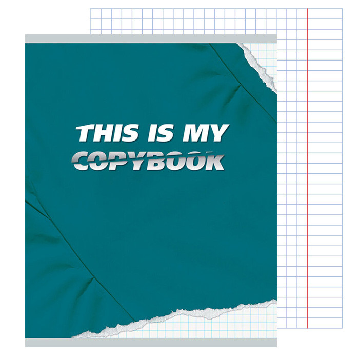 Тетрадь 96л кл. My copybook, ТК967967, РФ