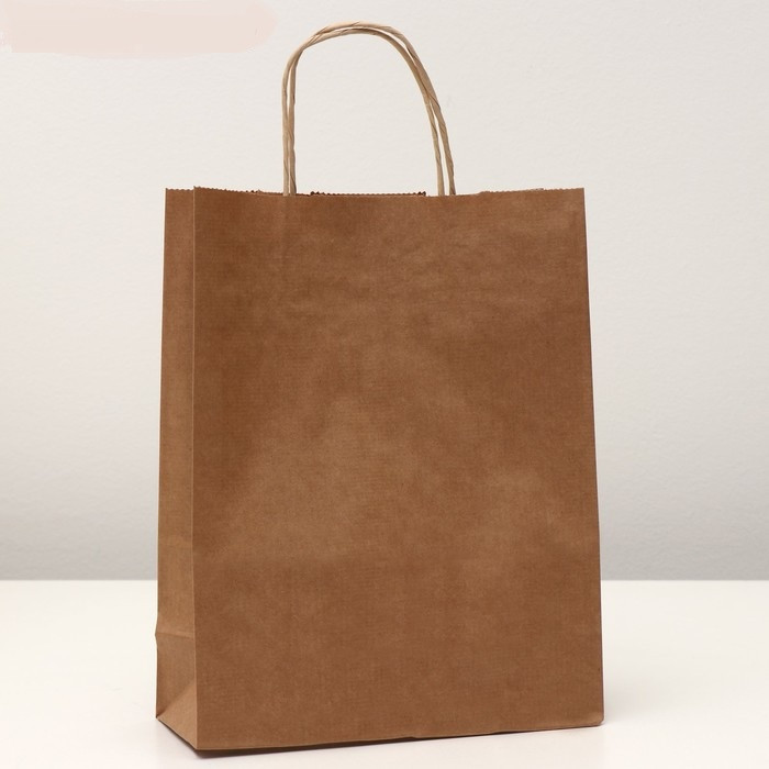 Пакет бумажный Крафт 25*32*11 1312852