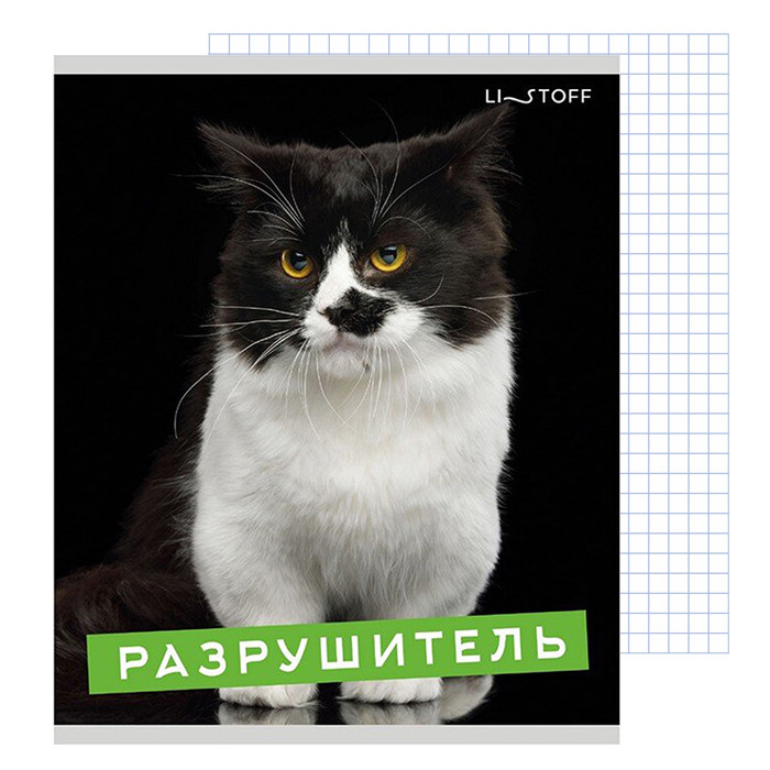 Тетрадь 96л кл. Характер котика, ТК968718