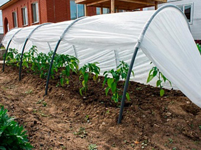 Парник "Бабушкин парничок" 6м, ОСТРОВ КОМФОРТА (длина: 6 м, ширина: 50 см, высота: 70 см) ПБП6